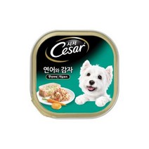 시저 연어와 감자 캔 100g x 12개, 상세페이지 참조, 상세페이지 참조, 상세페이지 참조