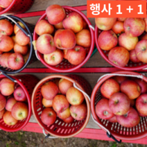 1+1(2박스) 아삭한 달콤한 보조개 꼬마 작은 큰 꿀 청송 홍로 부사 20 kg 키로, 거의정품(가정용) 중대 10kg(29-37과) 2박스