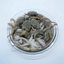 [빠른배송] 자연산 대용량 냉동 쭈꾸미 4kg, 80/100g 11마리(총 약 44마리)