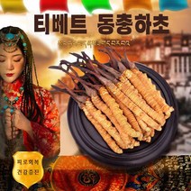 티베트 야생 동충하초 피로회복, 3g, 1개