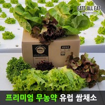 이츠올릿 프리미엄 무농약 유럽 상추 모듬 쌈채소 1kg 유기농 샐러드 채소 야채 믹스, 버터헤드 1kg