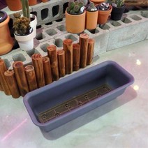 칼라 플라스틱 쌈채소 텃밭화분 60x17cm 플랜트 그린