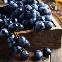 [웰굿] 국내산 프리미엄 새콤달콤한 캠벨 포도 1kg2-3수, 없음