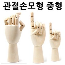 <YT_S> 관절손모형 중형 손모형 조형물 손골격모형 과학교구 조형물” class=”wr-img”></a></div>
</div>
</div>
</div>
<div class=