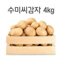 강원도 씨감자 4kg 10kg 20kg, 수미감자(반찬용)