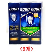 (디앤티) 구취제거치약 치석제거 잇몸치약 치은염 대용량치약 입냄새치약 개운한치약 건강한치약, 2080파워쉴드 그린페퍼민트140그램 3개입 *3개