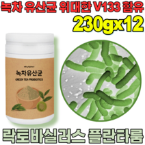 꼼꼼한 검수 통과한 자연이 주는 선물 락토 바실러스 플란 타룸 녹차 유산균 프락토 올리고당 위대한 V 133 녹자 우산균 위산균 유신균 프로바이오틱 가루 파우더 분말 파는곳 추천, 12