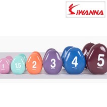 [바디포유] IW PVC 삼각아령 덤벨 세트 (2개) 1kg 2kg 3kg 4kg 5kg, 0.5kg, 2개