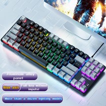 SKYLION H87 유선 기계식 키보드 마이크로소프트 윈도우 및 애플 IOS 시스템용 게임 오피스 10 가지 다채로운 조명, 없음, 없음, blackgrey+블루 스위치