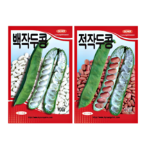 흰 백 적 작두콩 백색 적색 메주 완두 동부 콩 씨 씨앗 종자, 빨강강낭콩(덩굴성)