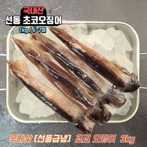 국내산 활 선동 초코 오징어 숙회 통찜오징어 1kg, 초코오징어 3kg