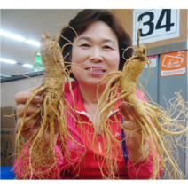 금산수삼시장 인삼즙 담금주 세척삼 오쿠홍삼용 난발삼 파지 효능 500g, 1-2. [세척] 11~12뿌리 500g, 1개