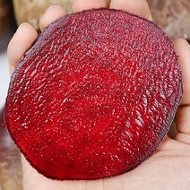 레드비트 제주산비트 우월한밥상레드비트 생비트 무농약 제주비트, 제주비트_3kg