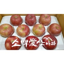 소백사과영농 산사과 부사, 17~20개(중소과)