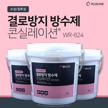 결로방지 방수제 콘실레이션 WR-824 곰팡이방지 곰팡이제거 가정용 1L, 콘실레이션 1개, 1000ml