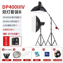 고독스 DP600III 3세대/4세대 카메라 라이트 플래시 600w 광고 촬영 스튜디오, 신우DP1000IIV4세대 듀얼 램프 세트B X2 프라
