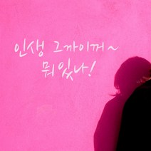 글씨스티커 인생그까이꺼 완-B타입 벽꾸미기스티커