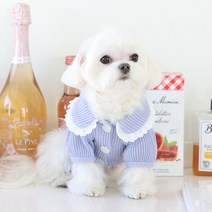 [갤러리아] 꼴레트멍멍피크닉 강아지가디건 마이리틀독, 민트