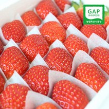 친환경팔도 [생산자직송] 충북옥천 신홍석님의 GAP 생딸기(설향/특품) 1kg, 1