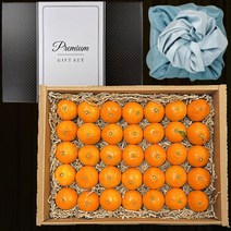 16~20Brix 초고당도 전국 상위 0.1% 감귤 불로초, 1kg