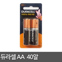 듀라셀 건전지 AA 알카라인 2입 카드형, 20개, 2개입