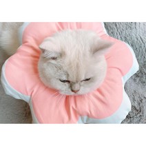 폭신 꽃 모양 고양이 분홍 넥카라 강아지카라 푹신한 중성화수술후 중성화수술 반려동물용품 깔대기 도넛, 1개