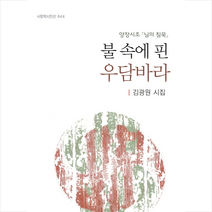 시문학사 불 속에 핀 우담바라, 김광원