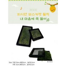 피시덴모스 모스카펫활착 가로5cm 1개 (음성수초 활착 초보자)