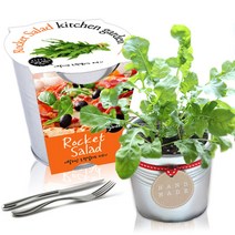 세경팜 양철키친가든 루꼴라 키우기 유치원 식목일키트 회분 씨앗