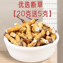 동충하초 정품 순수 티베트 통통 건강식품 한방 재료, 20g에 5g