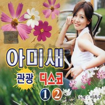 2CD 아미새 관광 디스코 12 1개, 상세페이지 참조
