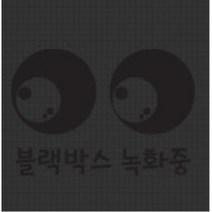 블랙박스 녹화중 스티커 데칼 니로 아반떼CN7 그렌져IG 코란도스포츠 올뉴K9 캐스퍼 튜닝 4세대카니발 G80 베뉴 코나 A6 미니쿠퍼 푸조 싼타페TM 볼보, 1개, 블랙