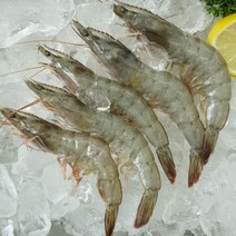 왕 새우 흰다리 냉동 제철 국산, 왕새우600g(20~30미)