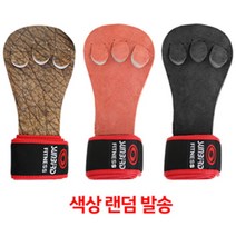 같은공간-썬버드 3구 헬스 역도 장갑 850 밴드부착형 랜덤 벤치프레스장갑 그립장갑운동장갑 벤치장갑 다용도헬스장갑 헬스용품-SS, 본상품