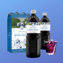 [강추] 국내산 블루베리즙 원액 1000ml 2병