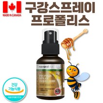 입냄새 구강 환절기 면역 벌집 플라보노이드 PROPOLIS 뿌리는 프로폴리스 스프레이 원액 항산화 영양제