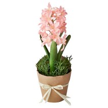 이케아 페이카 인조식물 인테리어 소품 조화 실내외겸용 히아신스 9 cm