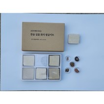 실제 화석 발굴 키트 암모나이트 삼엽충 조개 모소사우르스 산호