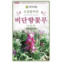 왜성 해바라기 황색갈색심 50립 - 야생화 씨앗 꽃씨 씨 꽃씨앗 야생화씨앗 고급꽃씨 고급꽃씨앗 해바라기씨앗 해바라기씨, 07_다농_비단향꽃무(스토크)(1g)