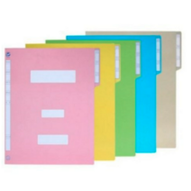 에코청운 종이 정부화일 A4, 파랑, 400개