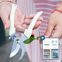 메인홈 원예 꽃꽂이 가위 가드닝 조경 가지치기 전지가위 - 둥근머리