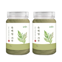 동의한재 국산 측백엽 측백잎 분말 가루 300g x 2통, 단품, 단품