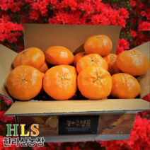 한라산농장 레드향 10KG 랜덤1종발송(소/중/대) 홍보용 한정판매 - 불만족시 무료반품 -