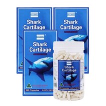 WEALTHY HEALTH Marine Blue Shark Cartilage 웰시헬스 뉴질랜드 청상어 연골 750mg 365캡슐 3팩