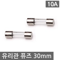 니토무역 유리관 휴즈 30mm 10A 10개 세트 퓨즈 과전류 차단