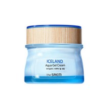 더샘 아이슬란드 아쿠아 젤 크림 60ml, 1개