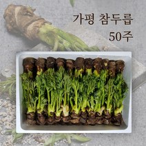 가평 참두릅 입맛을 돋궈주는 향긋한 두릅 30주 50주 65주 90주 선물세트, 참두릅 65주(대목) 선물세트