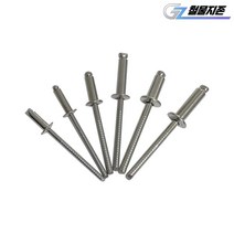 스텐 리벳못 4.8x16mm (200개) 브라인더 리벳 리베트