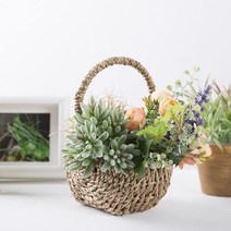 [마쉬매리골드]조화 다육 미니 복랑_16CM (2COLOR), 단품
