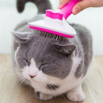 히피독 원터치 강아지 고양이 빗, 1개, 하늘색